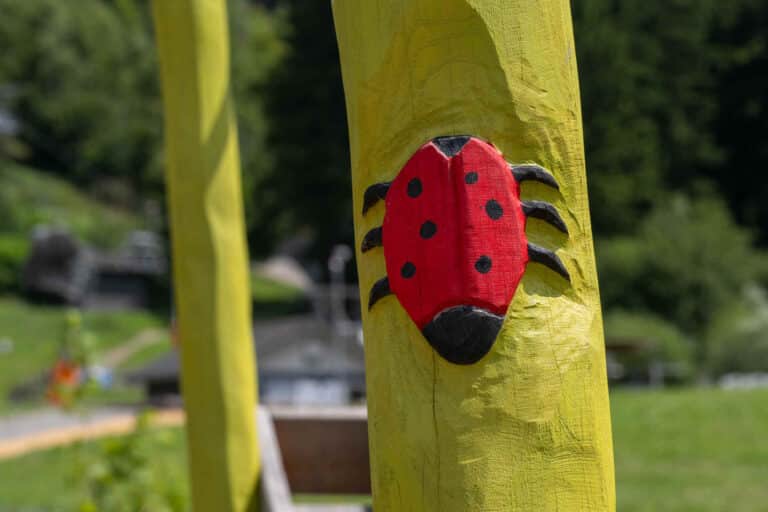 Eckis Erlebniswelt, Abenteuerspielplatz Schöneck